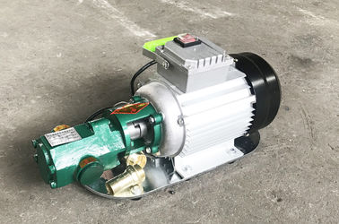 Pompe à engrenages portative de petite taille 220v/poids de Ligh série de 380v WCB fournisseur